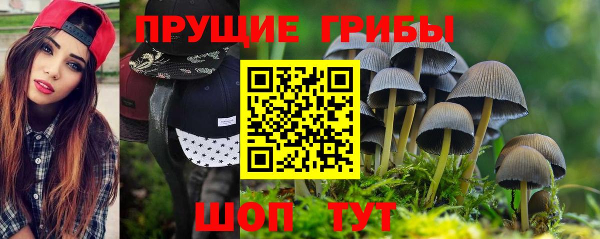 купить закладку  Вход с VPN  Псилоцибиновые грибы Cubensis  Коряжма  Галлюциногенные грибы прущие грибы 